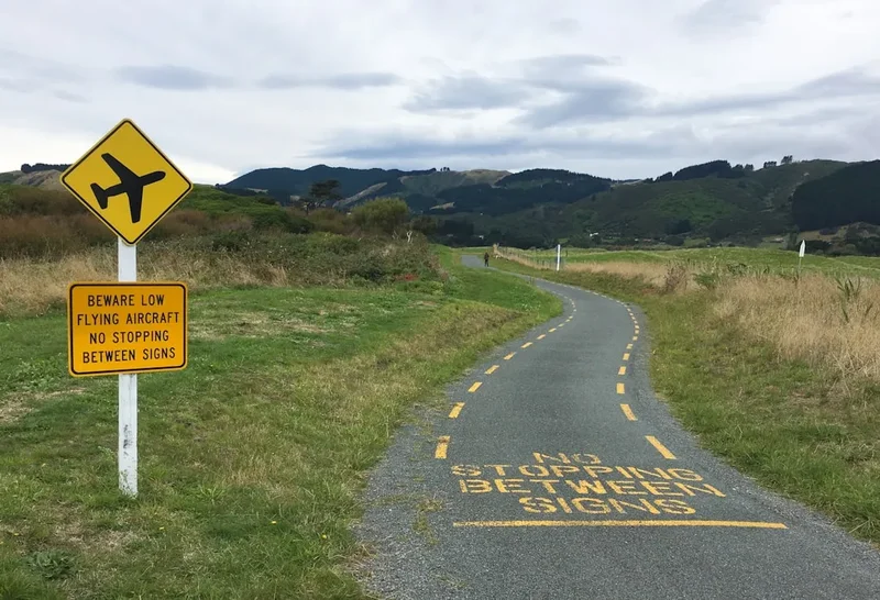 Hiking trail path on the Rees Dart Track