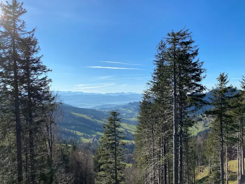 Mountain and nature scenery on the Rheinquellhorn Loop