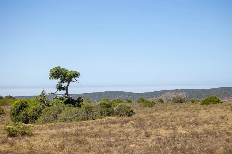 Richtersveld Trail - Visual 2