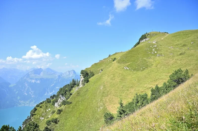 Hiking trail path on the Rigi Panorama Trail