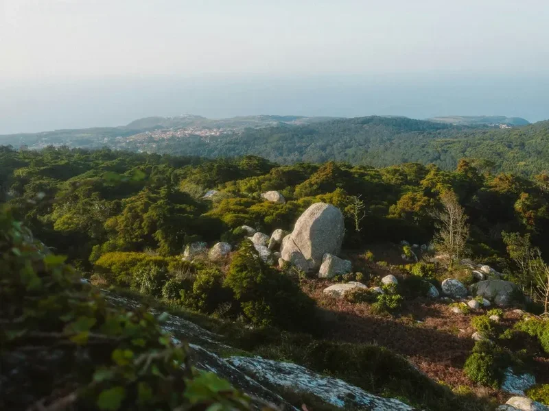 Forest and landscape view on the Rota Vicentina Fishermen