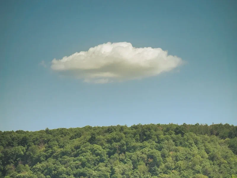 Forest and landscape view on the Rota Vicentina Historical Way