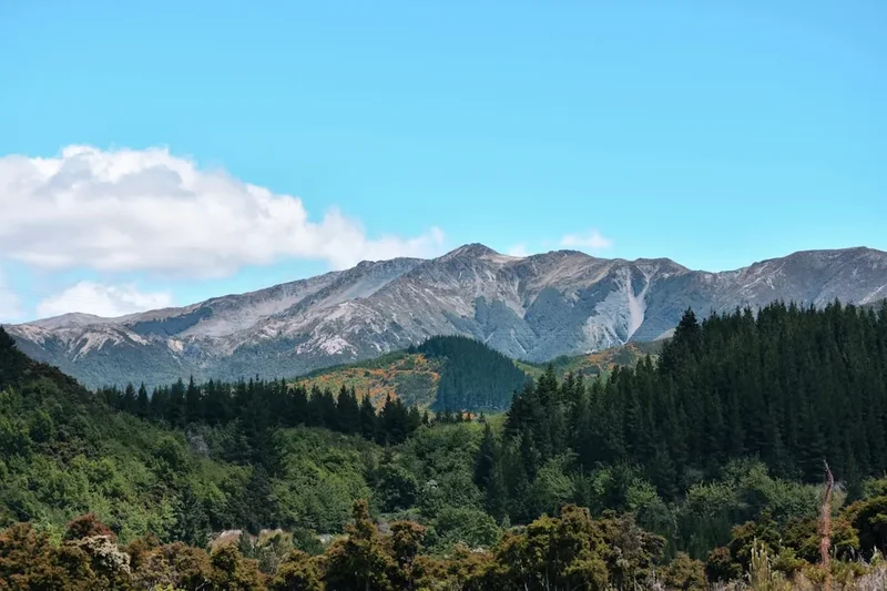 Forest and landscape view on the Routeburn Flats To Falls