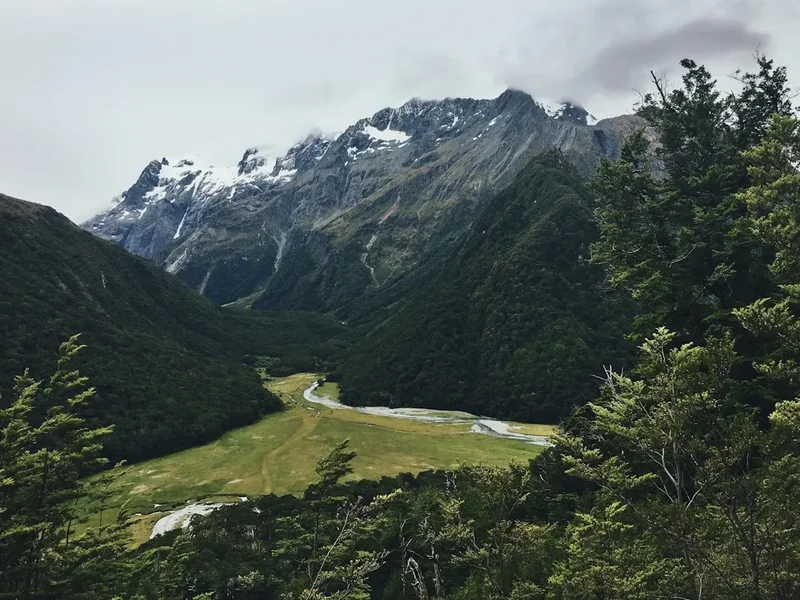 Hiking trail path on the Routeburn Track
