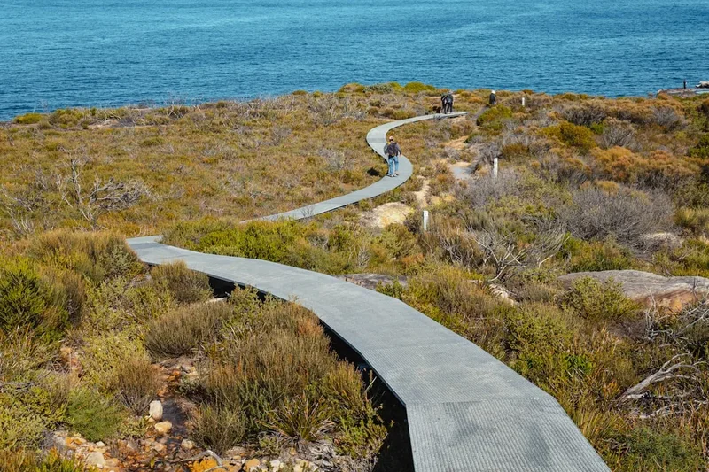 Hiking trail path on the Royal National Park Coast Track