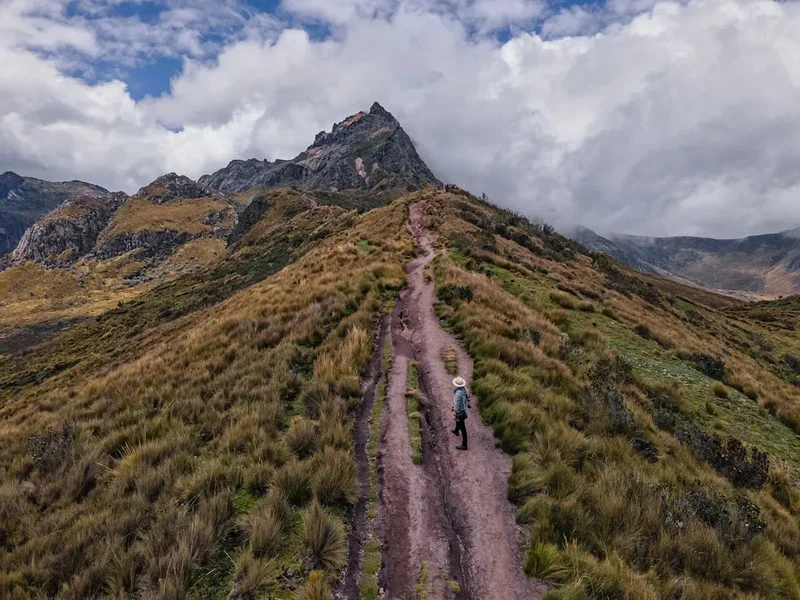 Forest and landscape view on the Ruta De Los Volcanes