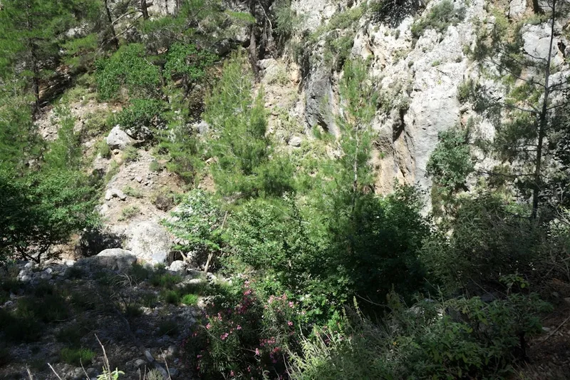 Mountain and nature scenery on the Samaria Gorge