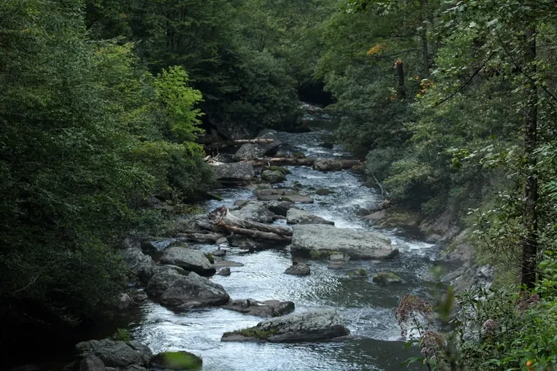 Mountain and nature scenery on the San Juan River Trek