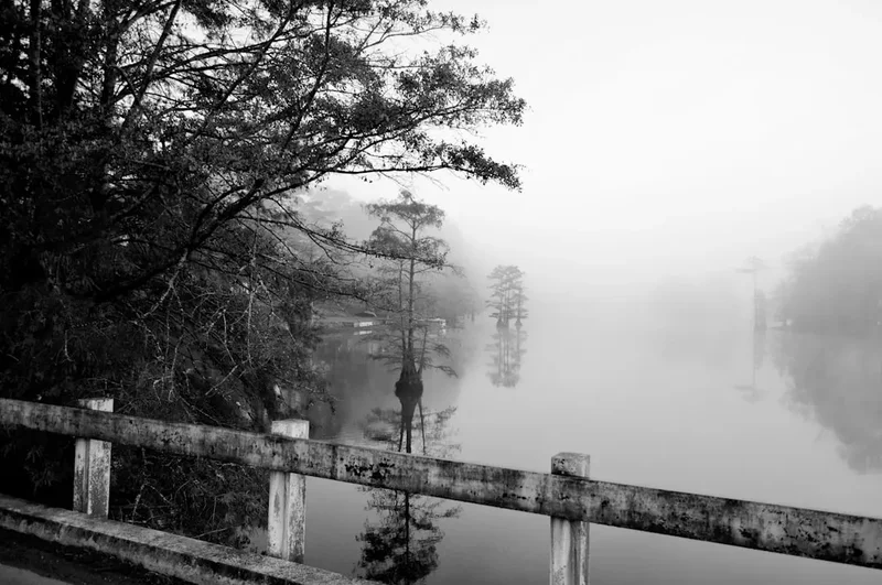 Forest and landscape view on the San Juan River Trek