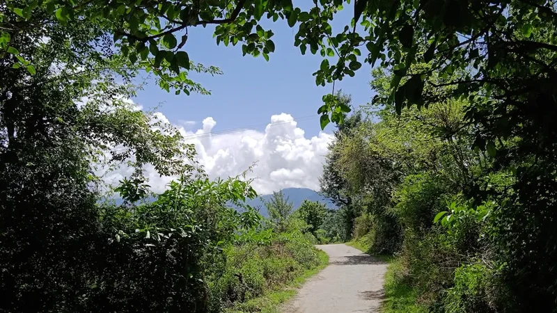 Hiking trail path on the Sandakphu Phalut Trek