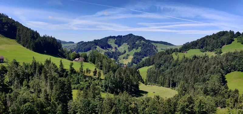 Forest and landscape view on the Schynige Platte To First