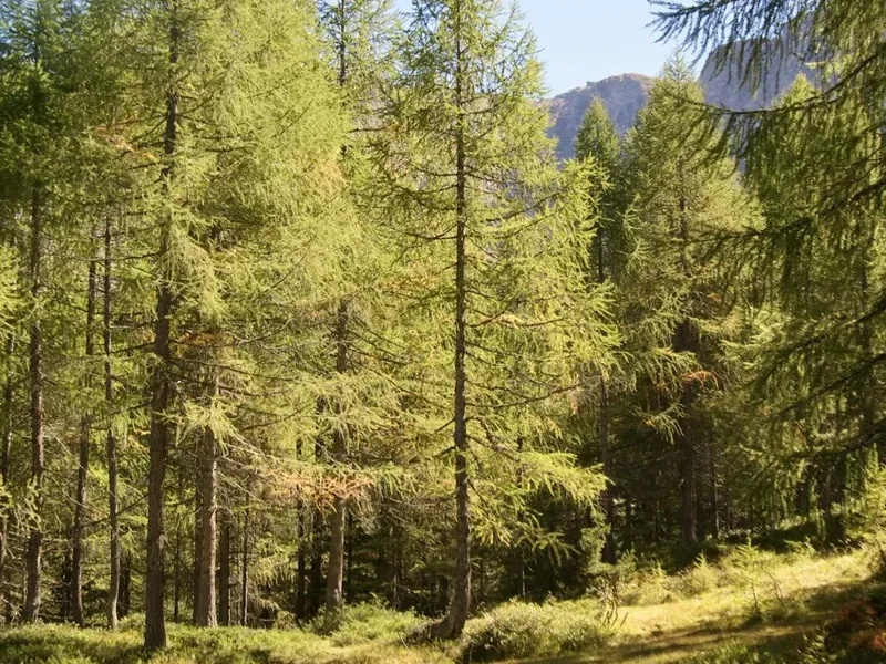 Sella-Herbetet Traverse - Visual 2