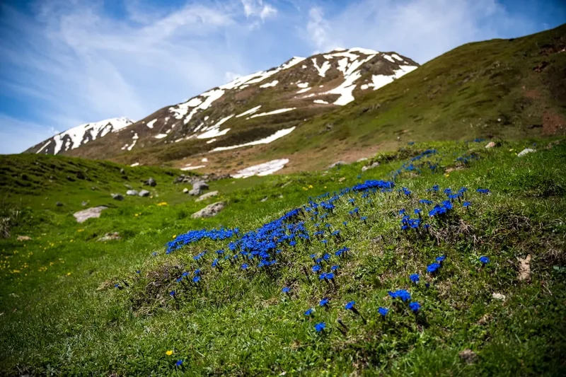 Mountain and nature scenery on the Sentiero Azzurro