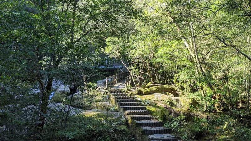 Forest and landscape view on the Shikoku 88 Temple