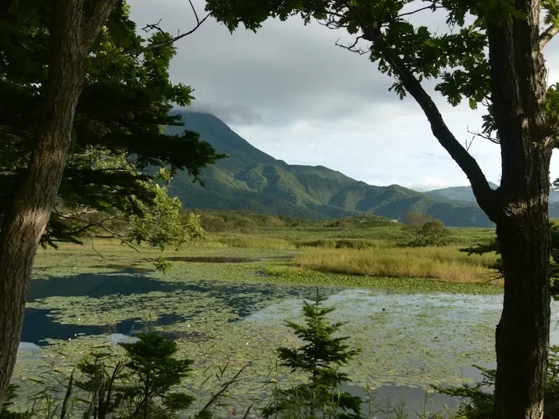 Forest and landscape view on the Shiretoko Five Lakes