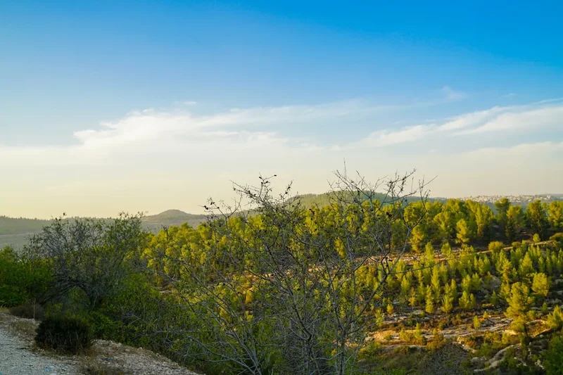 Mountain and nature scenery on the Shvil Israel Section
