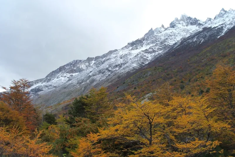 Mountain and nature scenery on the Sierra Nevada Trail