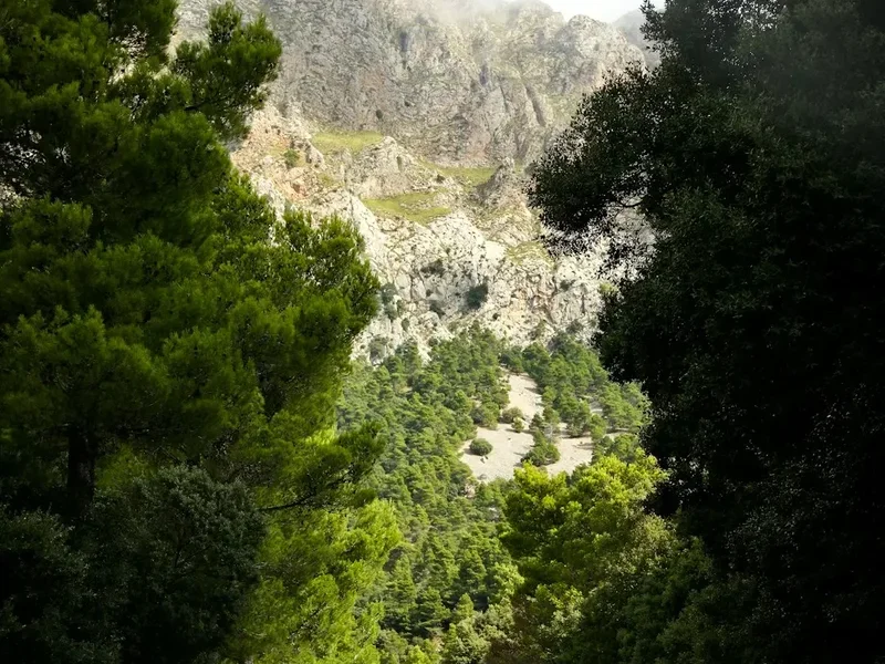 Sierra de las Nieves Loop - Visual 2
