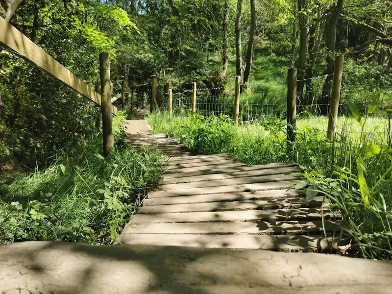Hiking trail path on the Skiddaw Walk