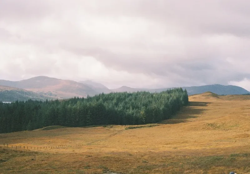 Forest and landscape view on the Skye Trail Day Section