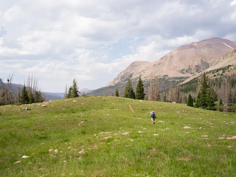 Hiking trail path on the Skyline Trail