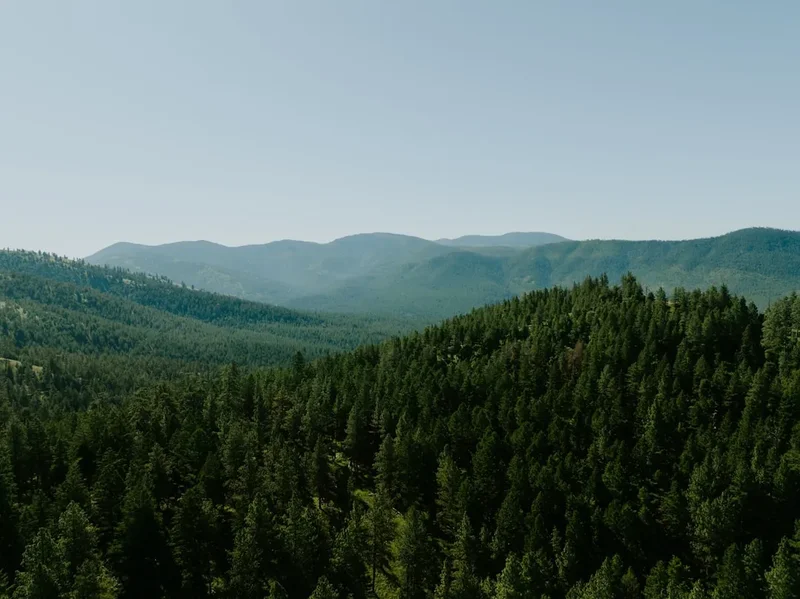 Skyline Trail - Visual 2