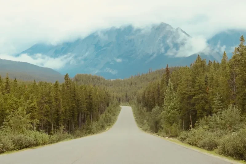 Hiking trail path on the Skyline Trail Jasper