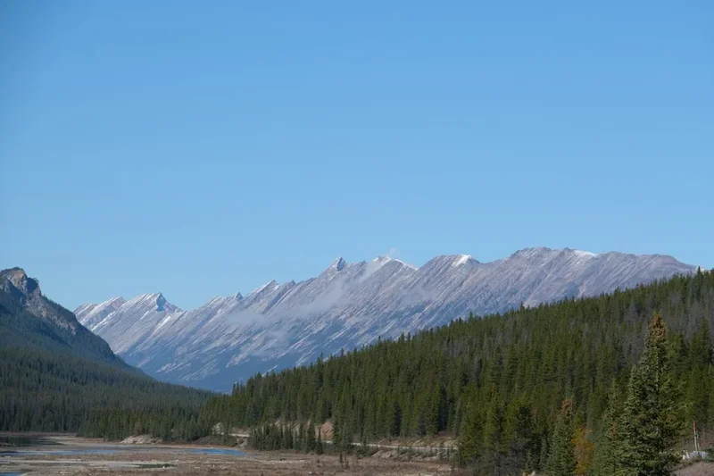 Forest and landscape view on the Skyline Trail Jasper