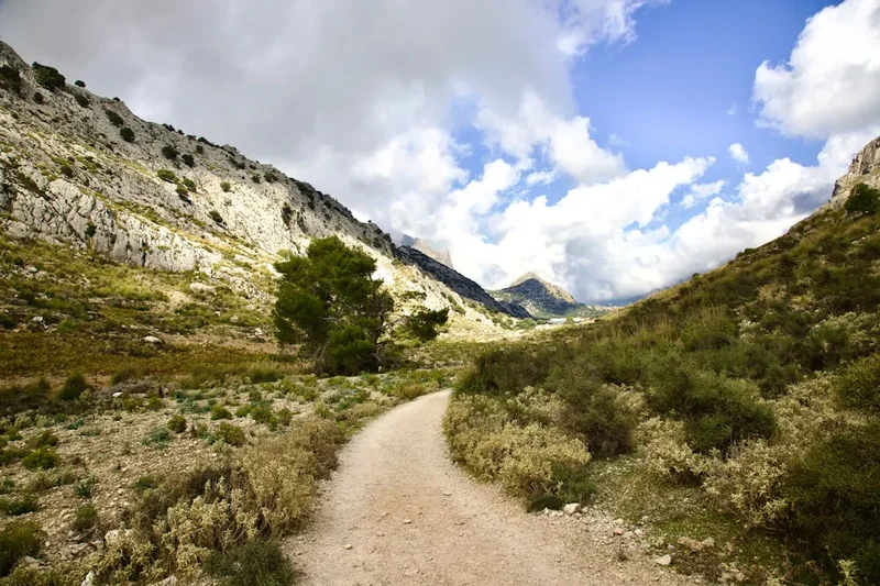 Hiking trail path on the Sulayr Trail