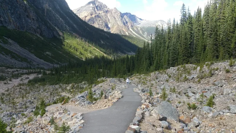 Hiking trail path on the Sulphur Skyline Trail