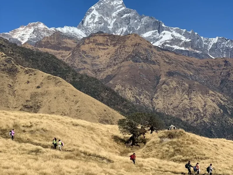 Mountain and nature scenery on the Sundarijal Chisapani