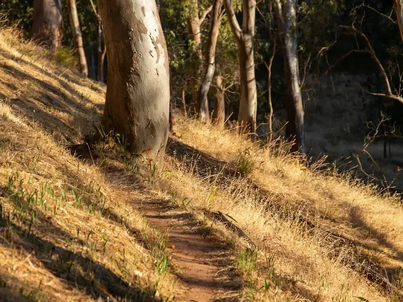Hiking trail path on the Sunrise Track