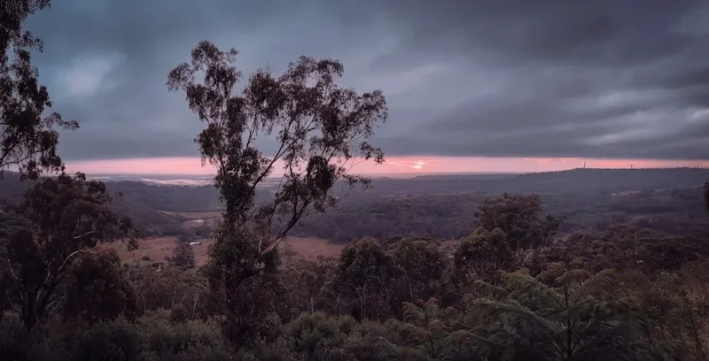 Forest and landscape view on the Sunrise Track