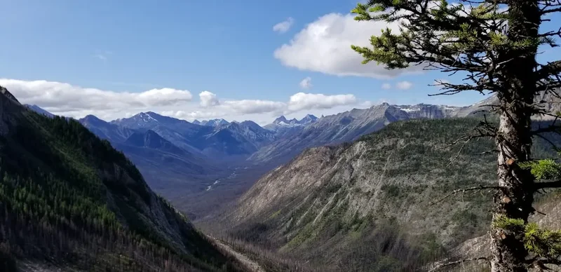 Mountain and nature scenery on the Sunshine Coast Trail Coastal