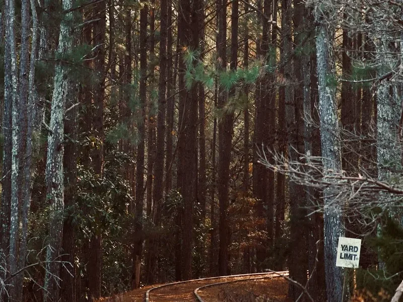 Forest and landscape view on the Svaneti Panorama Trail