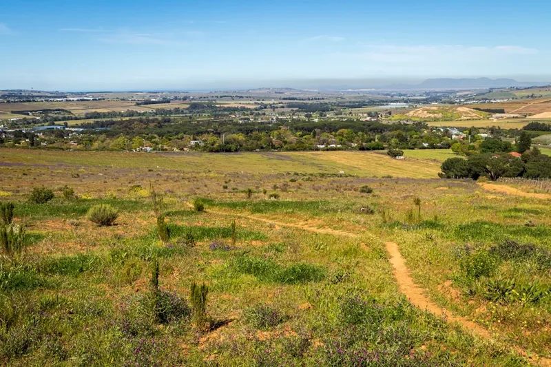 Hiking trail path on the Table Mountain Loop