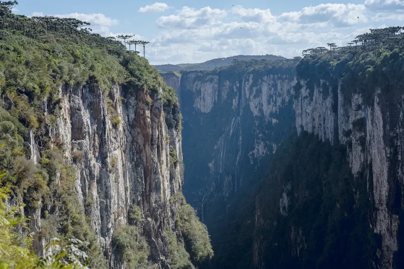 Mountain and nature scenery on the Tabuleiro Falls Trail