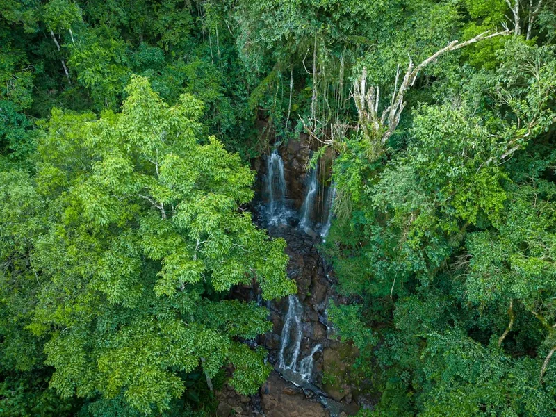 Forest and landscape view on the Tabuleiro Falls Trail