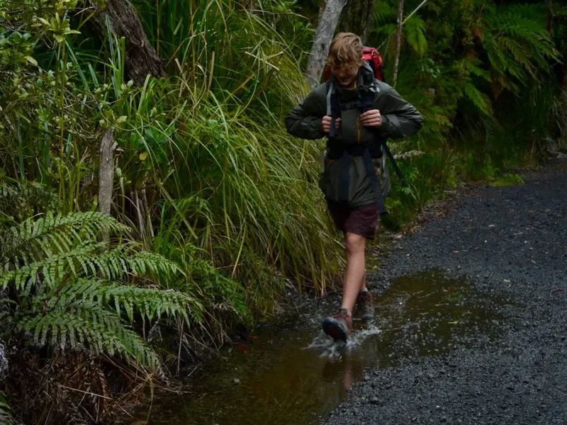 Hiking trail path on the Taranaki Pouakai Crossing