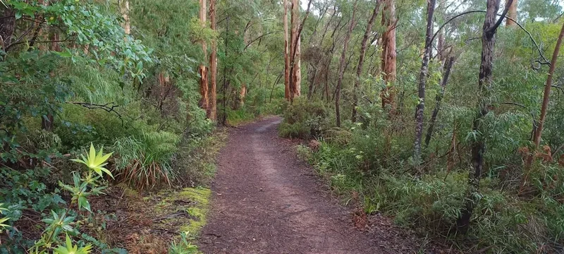 Hiking trail path on the Tarn Shelf Circuit