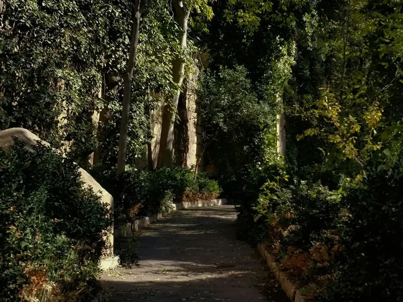 Hiking trail path on the Tassili N Ajjer Traverse