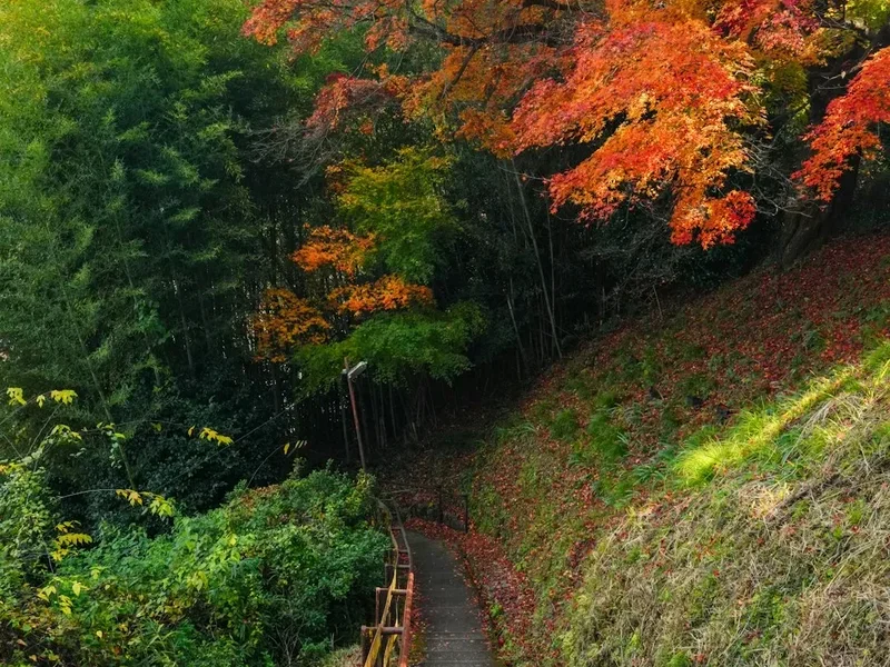 Hiking trail path on the Tateyama Alpine Route