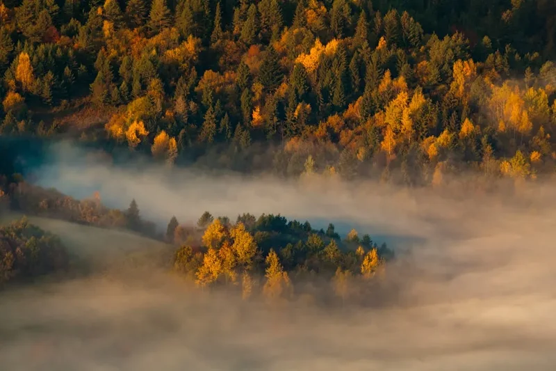 Forest and landscape view on the Tatra Mountains Traverse