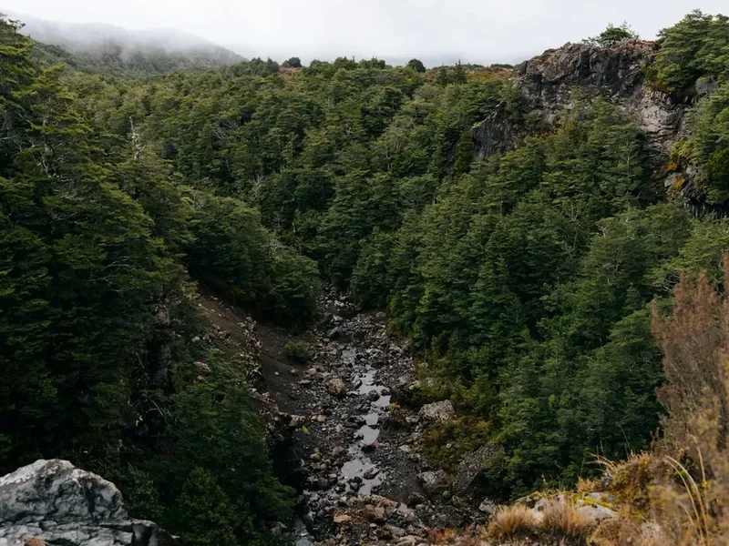 Mountain and nature scenery on the Te Araroa Section
