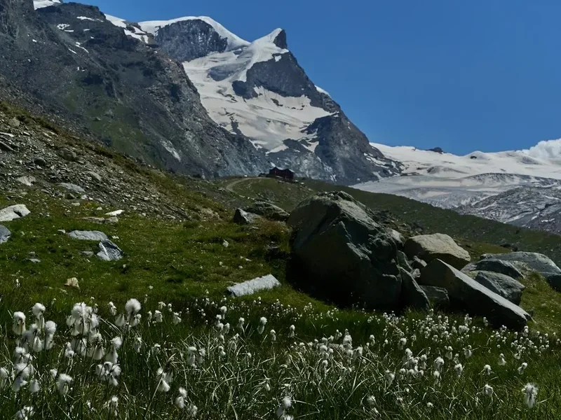 Mountain and nature scenery on the Tete Blanche Glacier Hike
