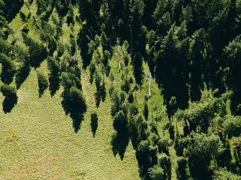 Mountain and nature scenery on the The Big Seki Loop