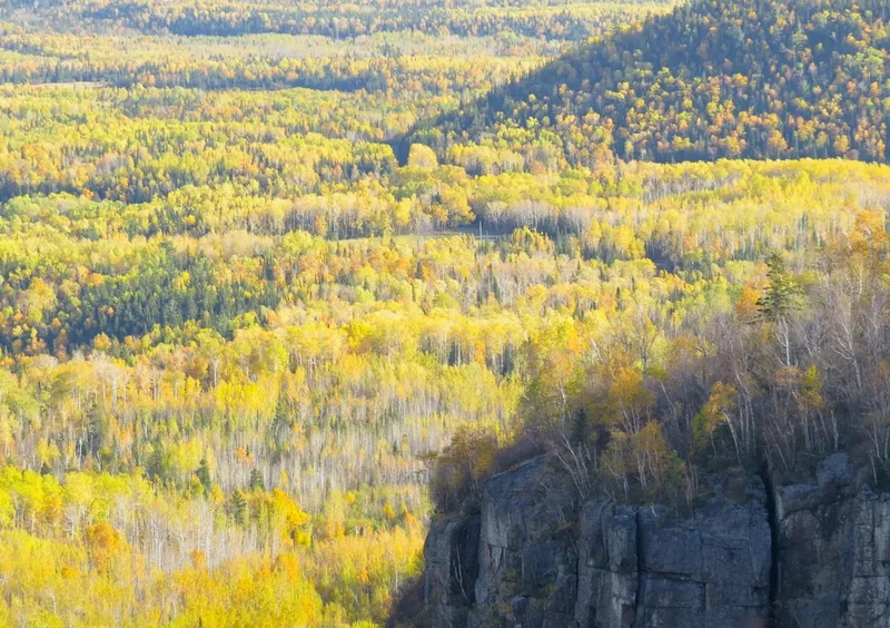 Forest and landscape view on the The Crack Trail