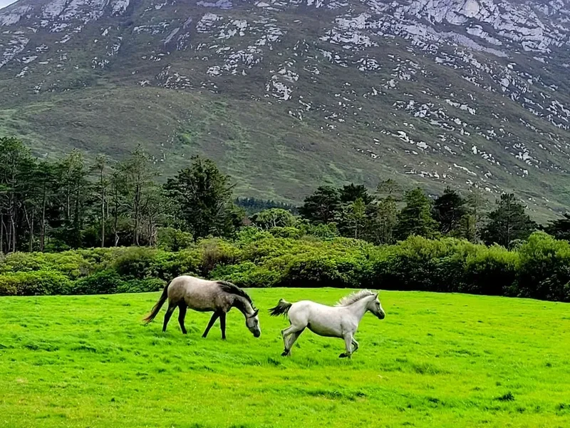 Mountain and nature scenery on the The Kerry Way