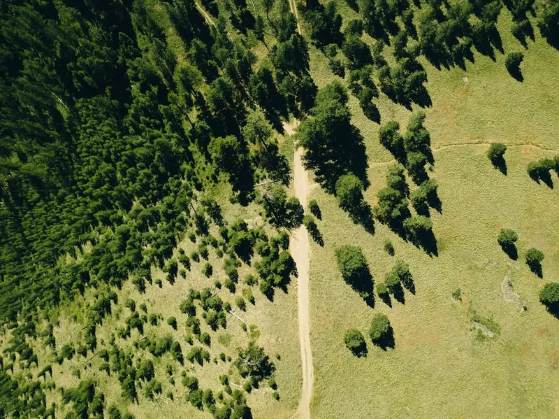 The Long Path - Visual 2
