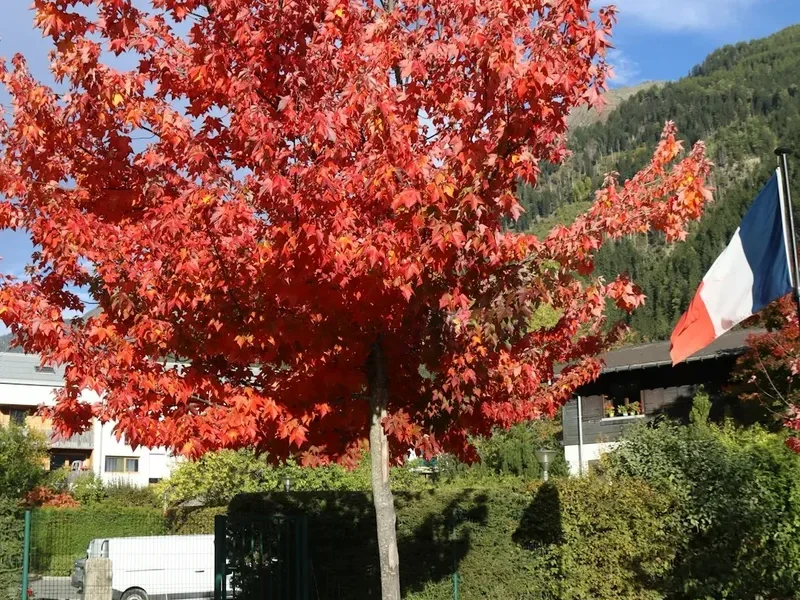 Mountain and nature scenery on the Tour Aiguille Rouge